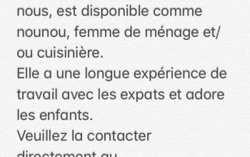 Nounou femme de ménage et cuisinière