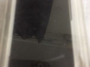 iPod touch 8GB en état neuf