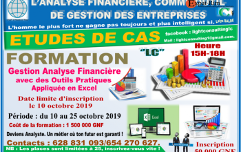 Formation en GAF