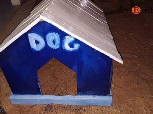 Niche pour chien
