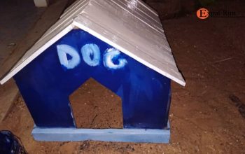 Niche pour chien