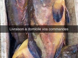 Vente poisson, fruits de mer ultra frais ! avec livraison