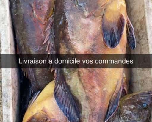 Vente poisson, fruits de mer ultra frais ! avec livraison