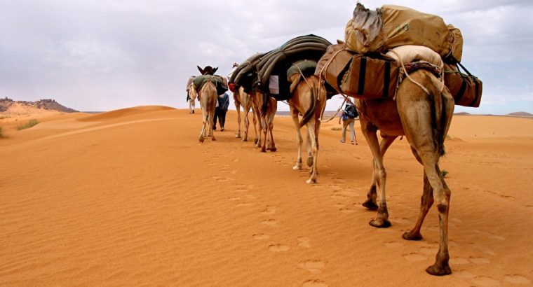Désert de Mauritanie