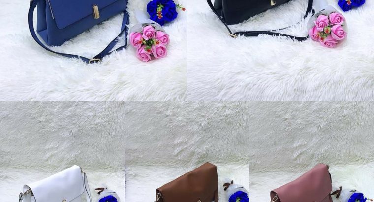 sac a main tres chic pour femmes disponible