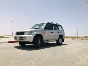 Prado 2005