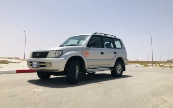 Prado 2005