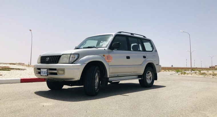 Prado 2005