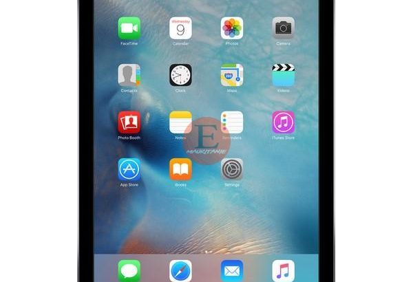 Apple iPad Air Wi-Fi + puce