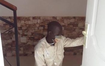 PRESTATIONS DE SERVICE EN PEINTURE (BTP) & JARDINAGE