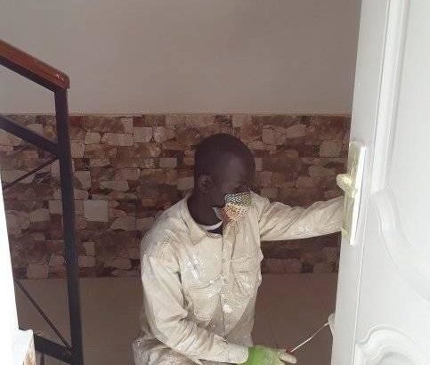 PRESTATIONS DE SERVICE EN PEINTURE (BTP) & JARDINAGE