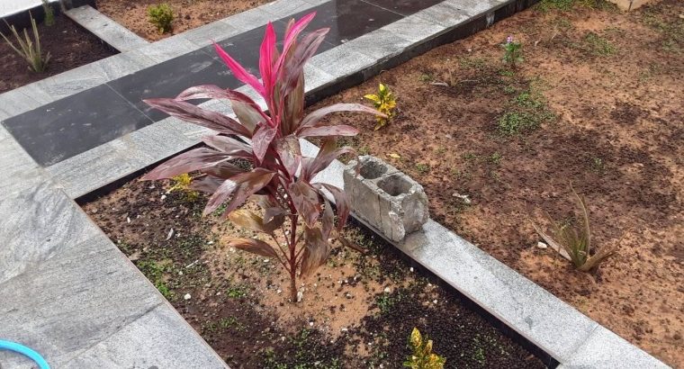 PRESTATIONS DE SERVICE EN PEINTURE (BTP) & JARDINAGE