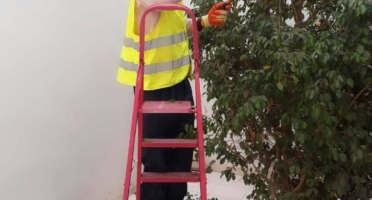 PRESTATIONS DE SERVICE EN PEINTURE (BTP) & JARDINAGE