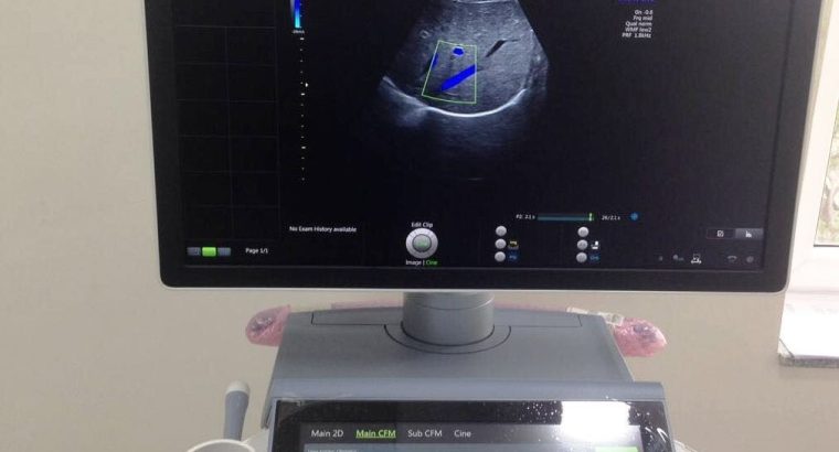 Vend Echographe GE VOLUSON E10