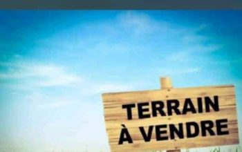 terrain à vendre
