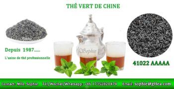Thé vert chinois 41022AAAAA