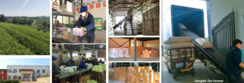 Thé vert chinois prix d’usine livraison sans retarder