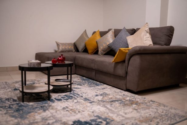 LOCATION APPARTEMENT MEUBLÈ HAUT DE GAMME