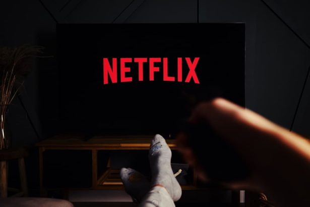 Abonnement Netflix par mois